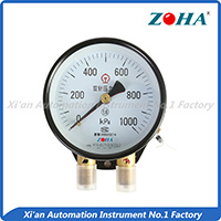 YZS-102 series double pointer double pipe pressure gauge