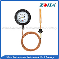 WTZ,WTQ series pressure thermometer